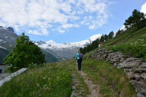 Judith Greer walks the trail to the forest