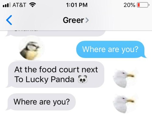 Bird text